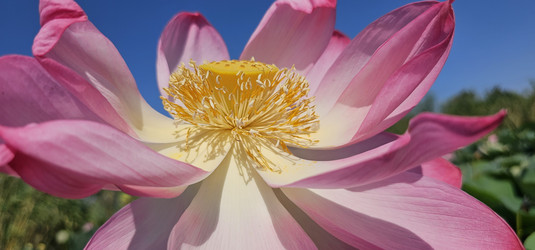 Similar image 21626474