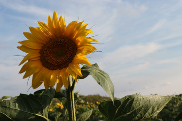 Similar image 21626476