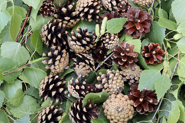 Similar image 21626478