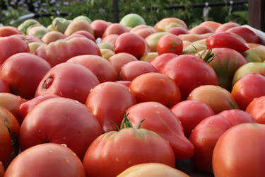 Similar image 21626479