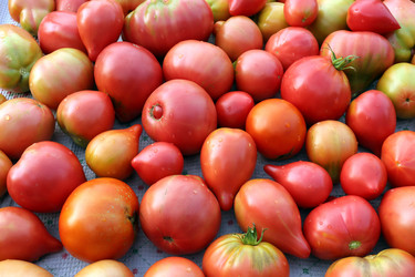 Similar image 21626480