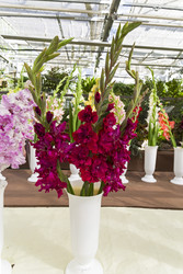 Similar image 21626577