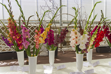 Similar image 21626580