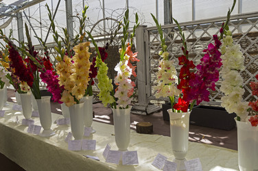 Similar image 21626581