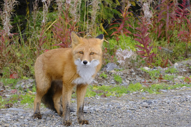 Similar image 21626483