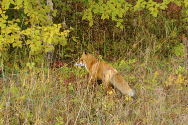 Similar image 21626484