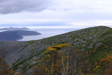 Similar image 21626485