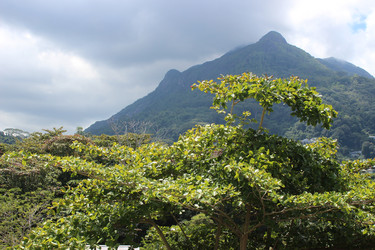 Similar image 21626583