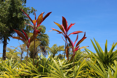 Similar image 21626584