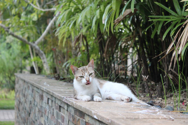 Similar image 21626585