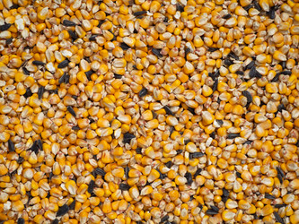 Similar image 21622212