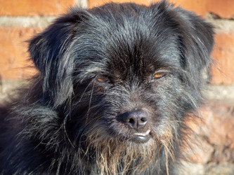 Similar image 21622214