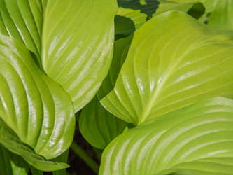 Similar image 21622217