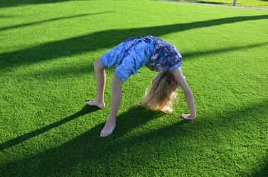 Similar image 21626588