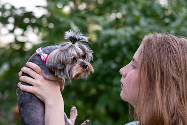 Similar image 21626593