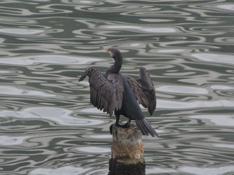 Similar image 21626668