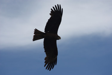 Similar image 21626669