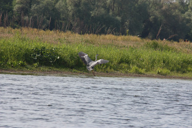 Similar image 21626670