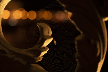 Similar image 21626701