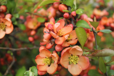 Similar image 21628764