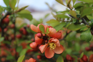 Similar image 21628765