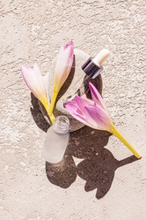 Similar image 21626022