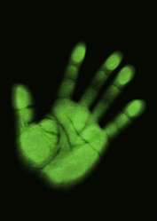 Similar image 21626603