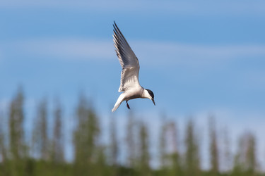 Similar image 21626605