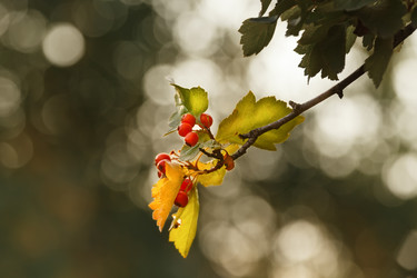 Similar image 21626608