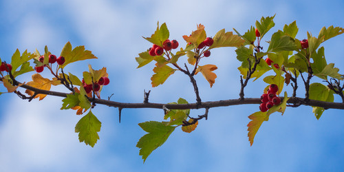 Similar image 21626612