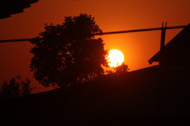 Similar image 21626718