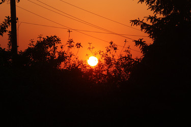 Similar image 21626719