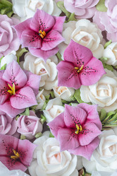 Similar image 21628016