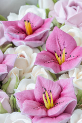 Similar image 21628017