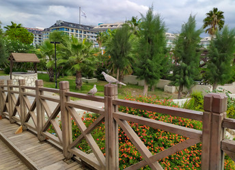 Similar image 21627761