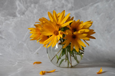 Similar image 21627762