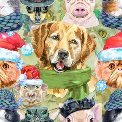 Similar image 21628374