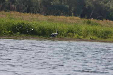 Similar image 21626722