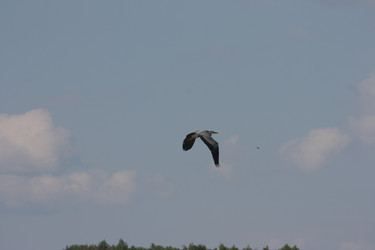 Similar image 21626723