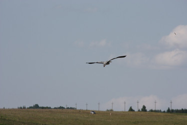 Similar image 21626725