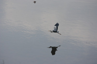 Similar image 21626726