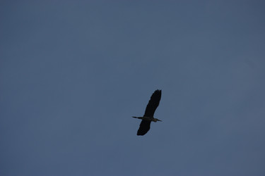 Similar image 21626732