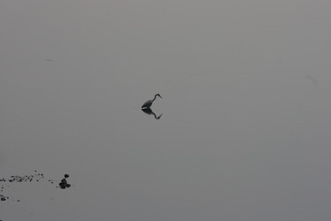 Similar image 21626734