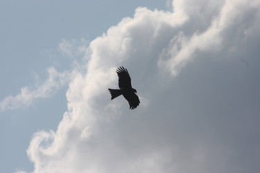 Similar image 21626735