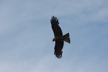 Similar image 21626740