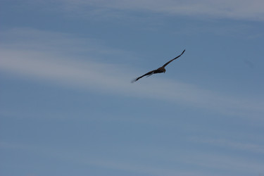 Similar image 21626741