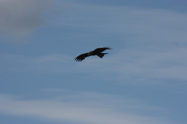 Similar image 21626742