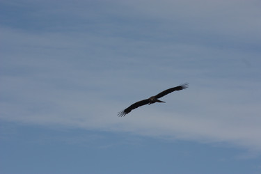 Similar image 21626743