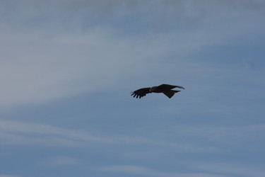 Similar image 21626744