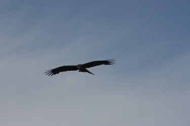 Similar image 21626745